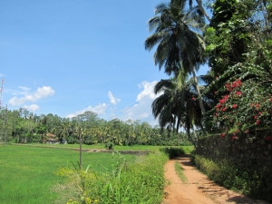 southern Sri Lanka